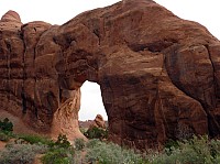 Arches NP Pine tree Arch (5).JPG